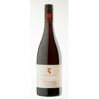 Pinot Noir REITSTEIG 2019 (Spätburgunder, dry red) 